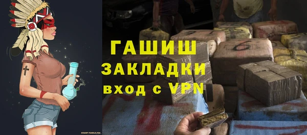хмурый Аркадак