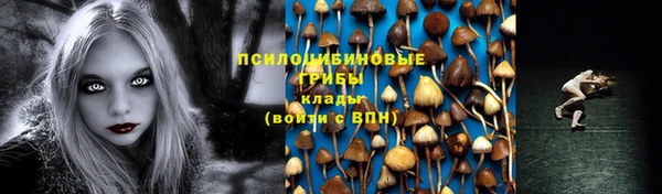 ГАЛЛЮЦИНОГЕННЫЕ ГРИБЫ Арсеньев