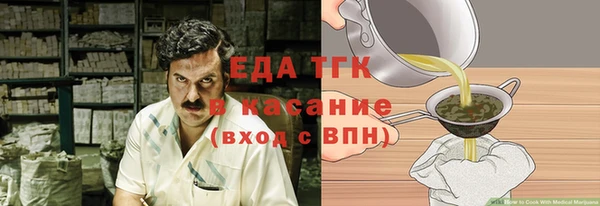 хмурый Аркадак