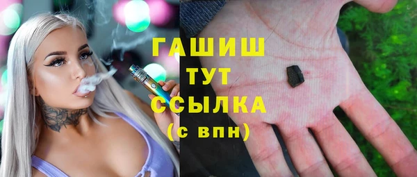 хмурый Аркадак