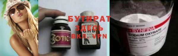 хмурый Аркадак