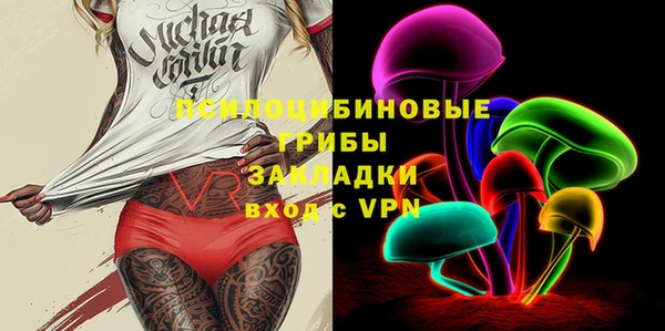 хмурый Аркадак