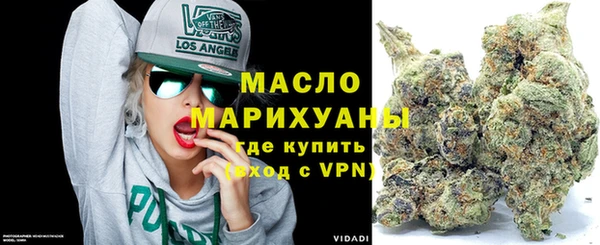 хмурый Аркадак