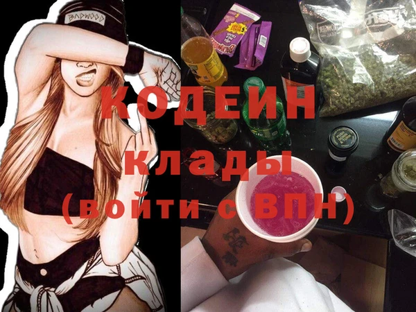 хмурый Аркадак
