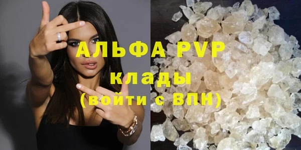 хмурый Аркадак