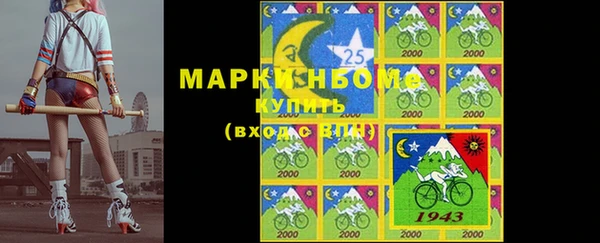 хмурый Аркадак