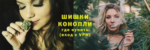 ГАЛЛЮЦИНОГЕННЫЕ ГРИБЫ Арсеньев