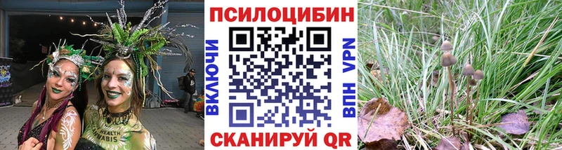 MEGA как зайти  Малгобек  Псилоцибиновые грибы Magic Shrooms  наркошоп 