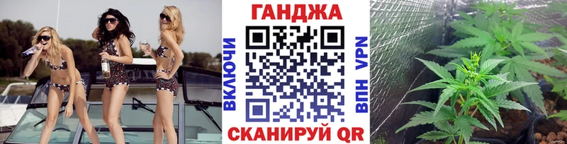 Бошки марихуана план  Малгобек 